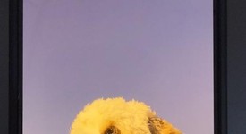 Mint
													Apple iPhone 15 Pro - Unlocked, Black, 128 GB, A2848, photo 5 of 9