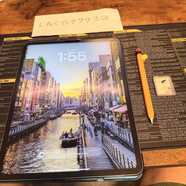 Apple iPad Pro 12.9 inch 6th Gen 2022 - Wi-Fi, 256 GB, Gray