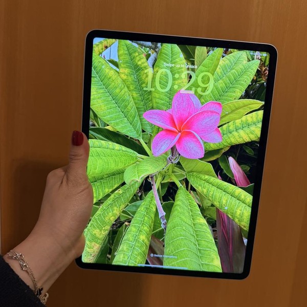 Apple iPad Pro 12.9 inch 5th Gen 2021 - Wi-Fi, 128 GB, Silver