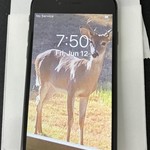 Mint Apple iPhone 8 - AT&T, 64 GB, Gray, A1905, GSM
