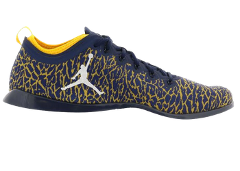 Jordan Trainer 1 Low Michigan for sale