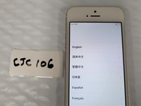 Apple iPhone 5S