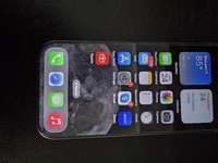 Apple iPhone 16 Pro