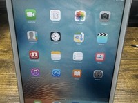 Apple iPad Mini