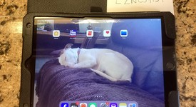 Good
													Apple iPad 9th Gen - Wi-Fi, Gray, 64 GB, A2602, photo 1 of 12