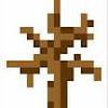 Bush S