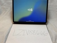 Apple iPad Pro 12.9" 4th Gen 2020