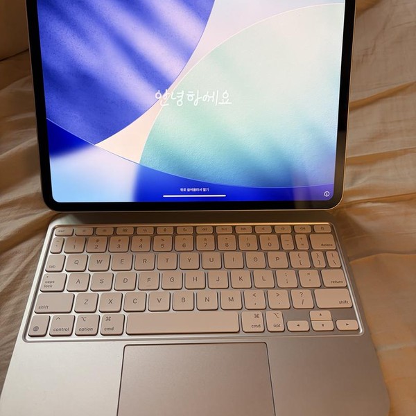 Apple iPad Pro 11 inch (M5) 2025 - Wi-Fi, 256 GB, Silver, Apple M5 9-Core, A3357, Standard Glass