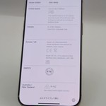 Mint Apple iPhone 16 Pro Max - Unlocked, Desert, 256 GB, A3084