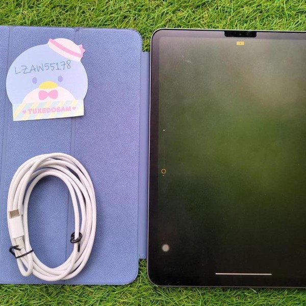 Apple iPad Pro 11 inch 2018 - Wi-Fi, 256 GB, Gray, A1980