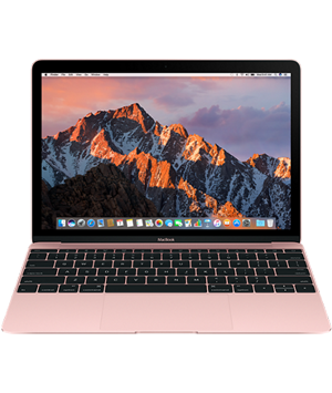 Macbook Retina 2017 - 12 inch - 256 GB, Gray, 16 GB, Intel Core m3