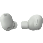 Sony WF-1000XM6 - Platinum Silver