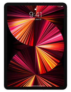 Apple iPad Pro 11 inch 3rd Gen 2021 - Unlocked, Gray, 256 GB