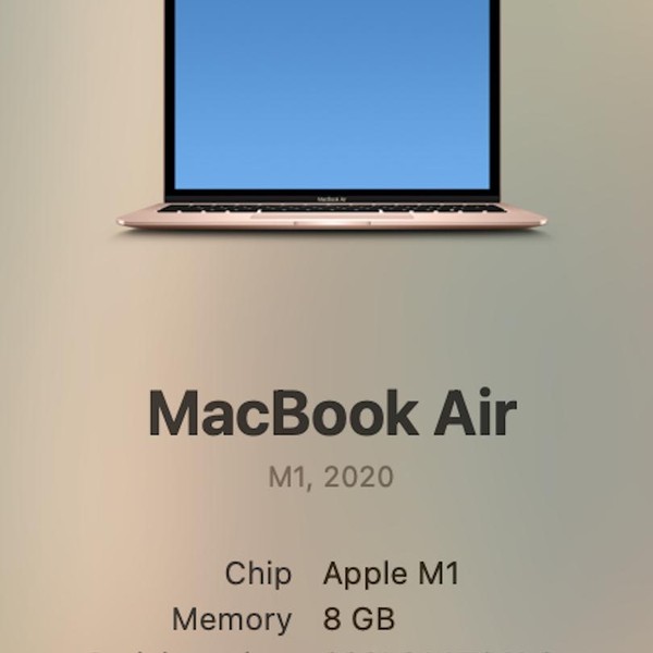 MacBook Air 2020 - 13 inch - 256 GB, Gold, 8 GB, Apple M1