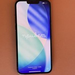 Good Apple iPhone 13 Pro Max - Unlocked, 128 GB, Green, A2484