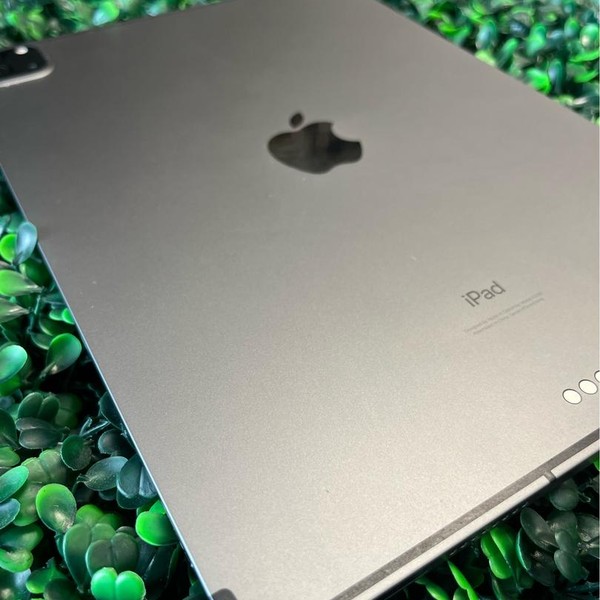 Apple iPad Pro 11 inch 3rd Gen 2021 - Unlocked, 256 GB, Gray