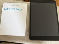 Apple iPad Mini