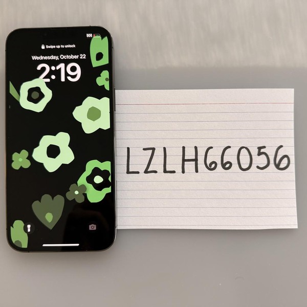 Apple iPhone 13 Pro Max - Unlocked, 256 GB, Graphite, A2484