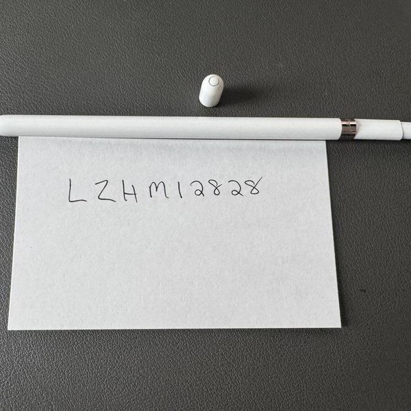 Apple Pencil 1st Gen
