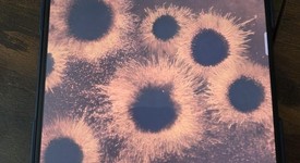 Mint
													Samsung Galaxy Z Fold6 - Unlocked, Navy Blue, 512 GB, 12 GB, SM-F956U1, photo 4 of 18