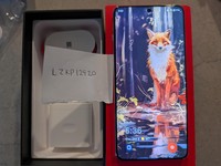 OnePlus 13