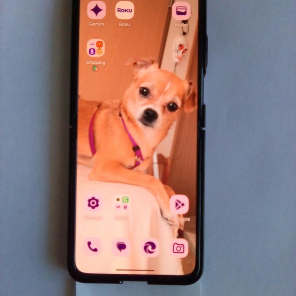 Motorola Razr Plus (2023) - Spectrum, 256 GB, Black, 8 GB