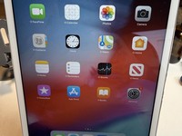 Apple iPad Mini 2 Retina