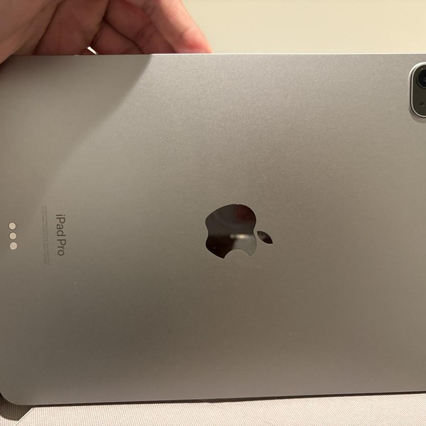 Apple iPad Pro 11 inch 4th Gen 2022 - Wi-Fi, 256 GB, Gray