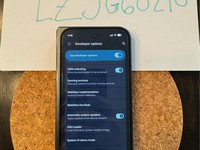 Google Pixel 9 Pro Fold