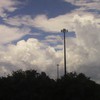 Cellutopia