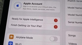 Mint
													Apple iPad Pro 13" (M4) 2024 - Unlocked, Black, 1 TB, 16 GB, A2926, Standard Glass, photo 2 of 8