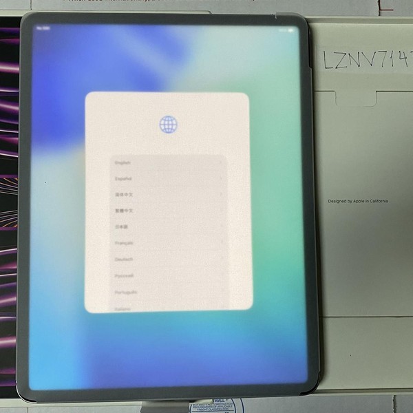 Apple iPad Pro 12.9 inch 6th Gen 2022 - Unlocked, 512 GB, Gray