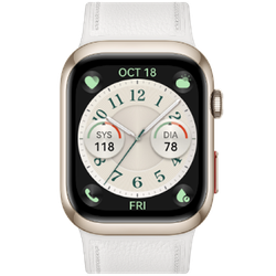 Huawei Watch D2