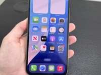 Apple iPhone 13 Pro Max