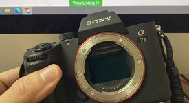 Mint
													Sony a7 III, photo 1 of 6