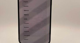 Mint
													Apple iPhone 14 Pro Max - Unlocked, Purple, 1 TB, A2651, photo 1 of 5