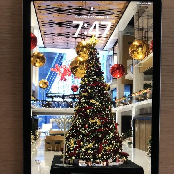 Apple iPad Air 11 inch (M2) 2024 - Wi-Fi, 256 GB, Gray, A2902