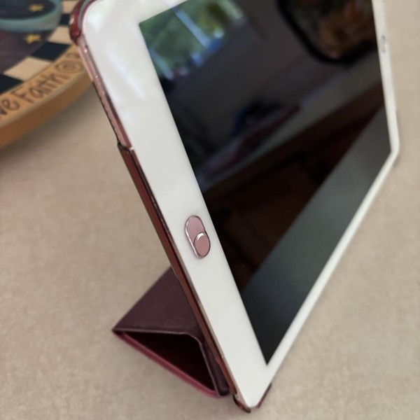 Apple iPad Pro 9.7 inch - Verizon, 32 GB, Rose Gold, A1674