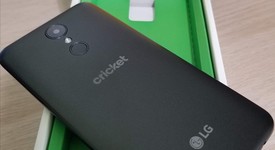 Mint
													LG Fortune 2 - Cricket, Black, photo 1 of 12
