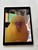 Fair Apple iPad Pro 12.9" 1st Gen 2015 - Unlocked, Gray, 128 GB, A1652, 1st Gen 2015