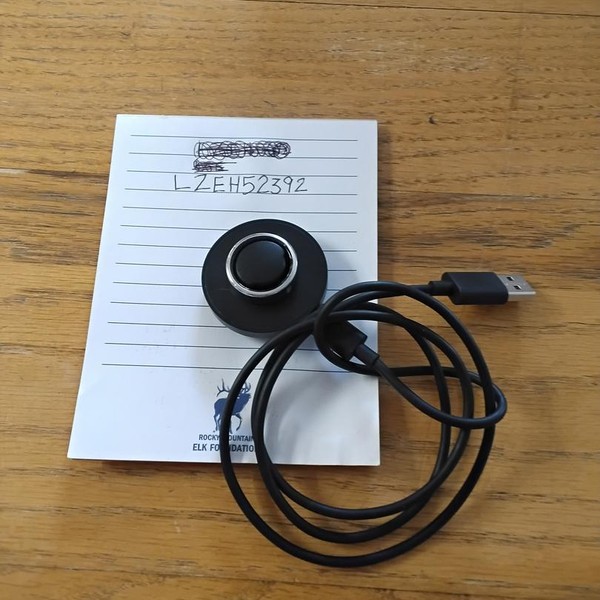 Oura Ring Gen 3 - Silver, Size 11, Horizon