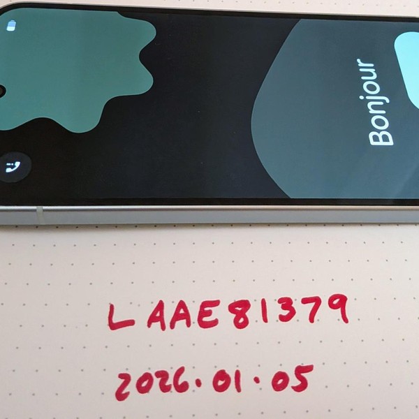 Google Pixel 9 - Unlocked, 128 GB, Wintergreen, 12 GB, G2YBB