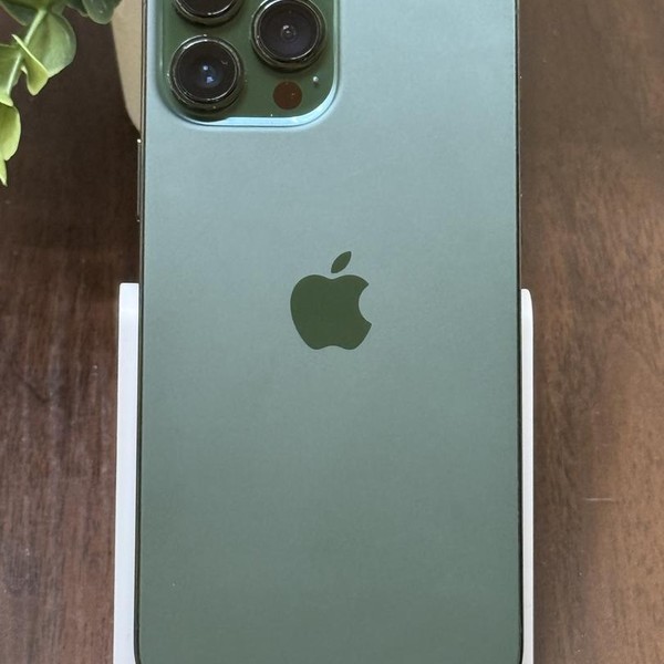 Apple iPhone 13 Pro Max - Unlocked, 256 GB, Green, A2484