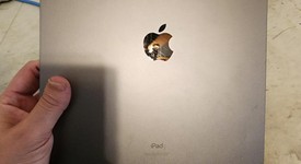 Fair
													Apple iPad Pro 12.9" 6th Gen 2022 - Unlocked, Gray, 2 TB, photo 3 of 9