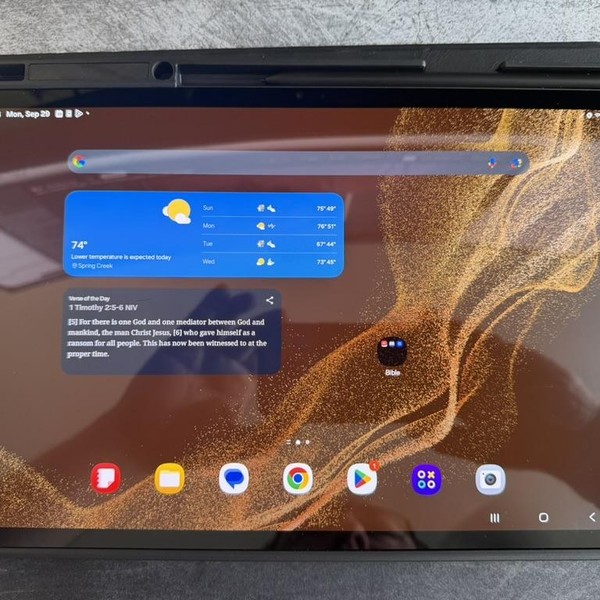 Samsung Galaxy Tab S8 Plus - Wi-Fi, 128 GB, Graphite, 8 GB, SM-X800