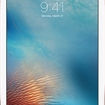 Good Apple iPad Pro 9.7 inch - Wi-Fi, Gray, 32 GB, A1673
