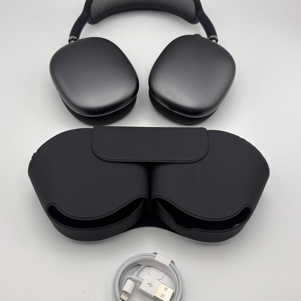 Apple AirPods Max - Gray