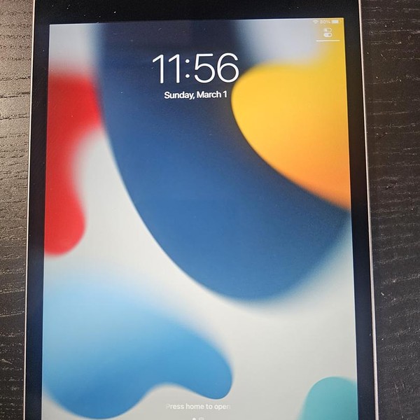 Apple iPad Mini 4 - Wi-Fi, 16 GB, Gray
