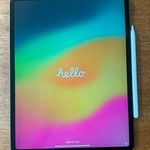 Good Apple iPad Pro 12.9 inch 4th Gen 2020 - Wi-Fi, 256 GB, Gray, A2229