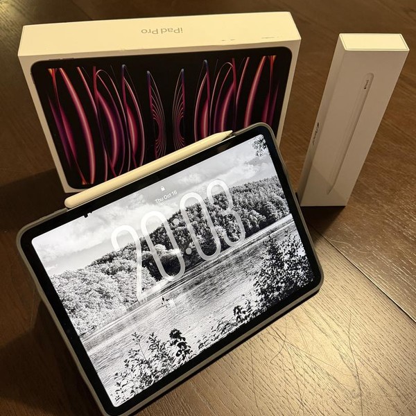 Apple iPad Pro 11 inch 4th Gen 2022 - Unlocked, 256 GB, Silver